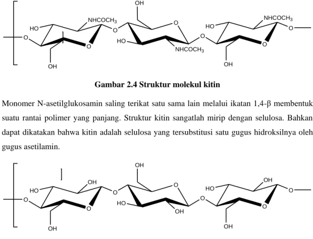 Gambar 2.4 Struktur molekul kitin 