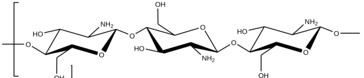 Gambar 2.6 Struktur molekul kitosan 