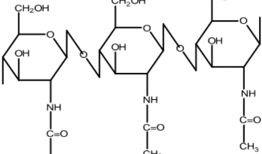 Gambar 1  Struktur Kimia Kitin   Pada  umumnya,  kitin  tidak  larut  dalam  air,  basa  encer,  asam  encer,  dan  pelarut  organik