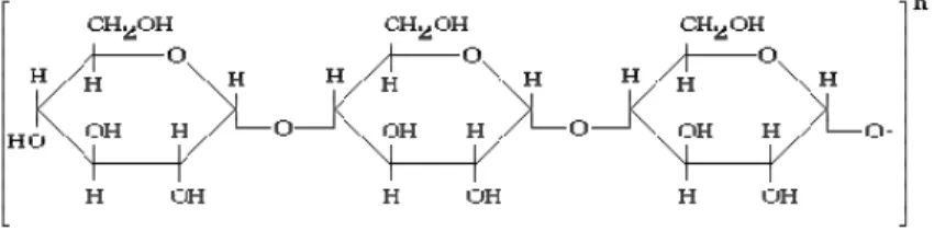 Gambar 2.8 Struktur amilosa 