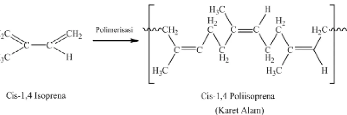 Gambar  2.1  Reaksi  polimerisasi  Cis-1,4  Isoprena  menjadi  Cis-1,4  Isopropena  (Simpson, 2002) 