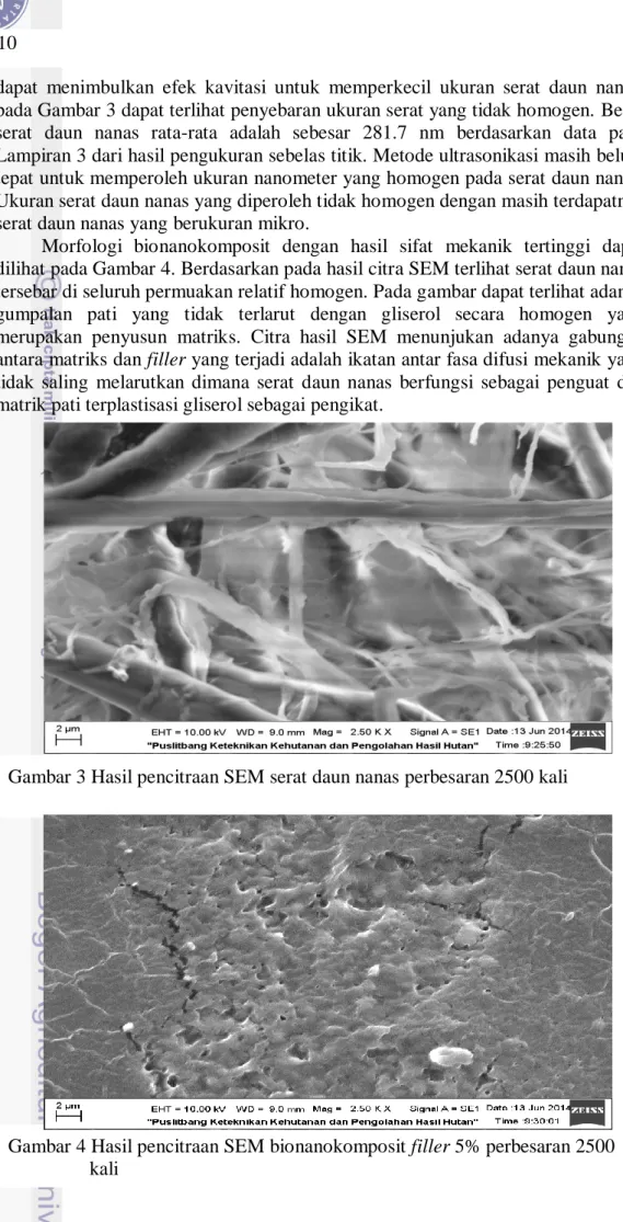 Gambar 4 Hasil pencitraan SEM bionanokomposit filler 5% perbesaran 2500  kali 