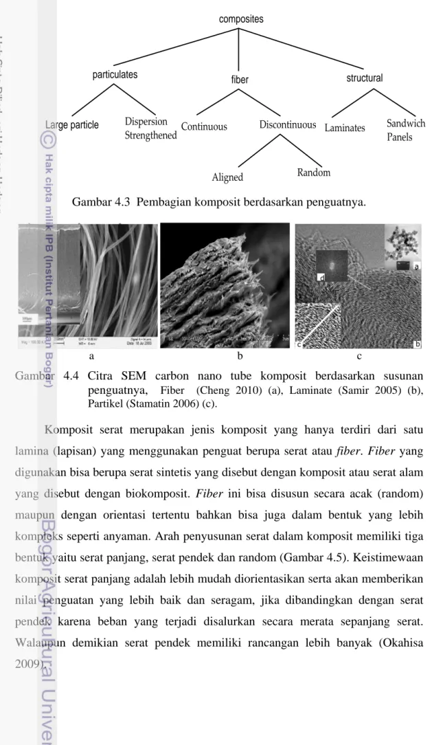 Gambar  4.4  Citra SEM carbon nano tube  komposit  berdasarkan  susunan  penguatnya,   Fiber    (Cheng  2010)  (a),  Laminate (Samir  2005)  (b),  Partikel (Stamatin 2006) (c)