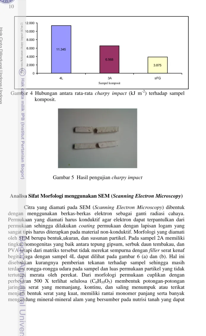 Gambar  4  Hubungan  antara  rata-rata  charpy  impact  (kJ  m -2 )  terhadap  sampel                         komposit