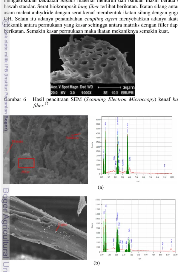 Gambar  6      Hasil  pencitraan  SEM  (Scanning  Electron  Microccopy)  kenaf  bast  fiber