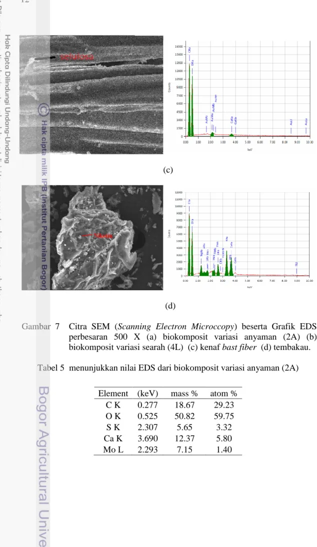 Gambar  7    Citra  SEM  (Scanning  Electron  Microccopy)  beserta  Grafik  EDS  perbesaran  500  X  (a)  biokomposit  variasi  anyaman  (2A)  (b)  biokomposit variasi searah (4L)  (c) kenaf bast fiber  (d) tembakau