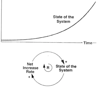 Gambar 2.17 Mode Exponential Growth  Sumber : Sterman (2008) 