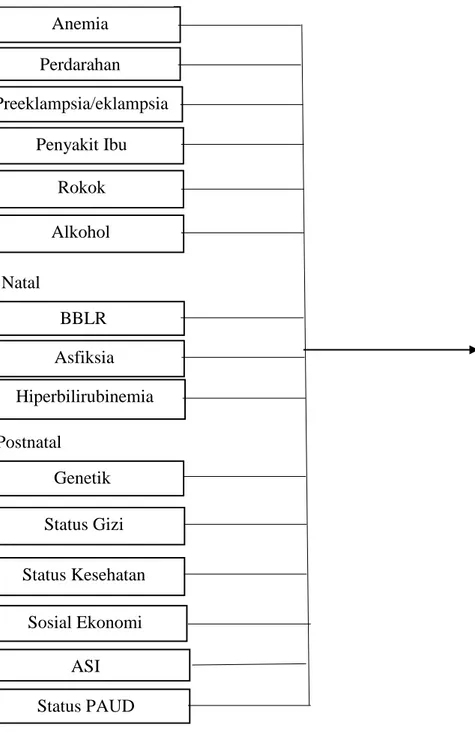 Gambar 1. Kerangka Teori Anemia Perdarahan Preeklampsia/eklampsia Penyakit Ibu Rokok Alkohol Prenatal  Kemampuan  Kognitif Adaptif BBLR Asfiksia Hiperbilirubinemia Natal Postnatal Genetik Status Gizi Status Kesehatan Sosial Ekonomi Status PAUD ASI 