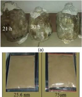 Gambar 2 Selulosa kulit rotan inokulasi jamur (a) dan nanopartikel (b). 