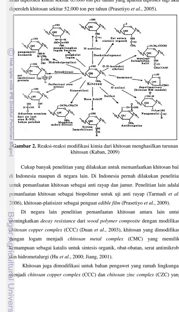 Gambar 2. Reaksi-reaksi modifikasi kimia dari khitosan menghasilkan turunan  khitosan (Kaban, 2009) 