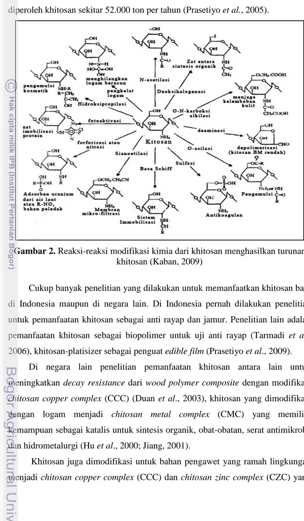 Gambar 2. Reaksi-reaksi modifikasi kimia dari khitosan menghasilkan turunan  khitosan (Kaban, 2009) 