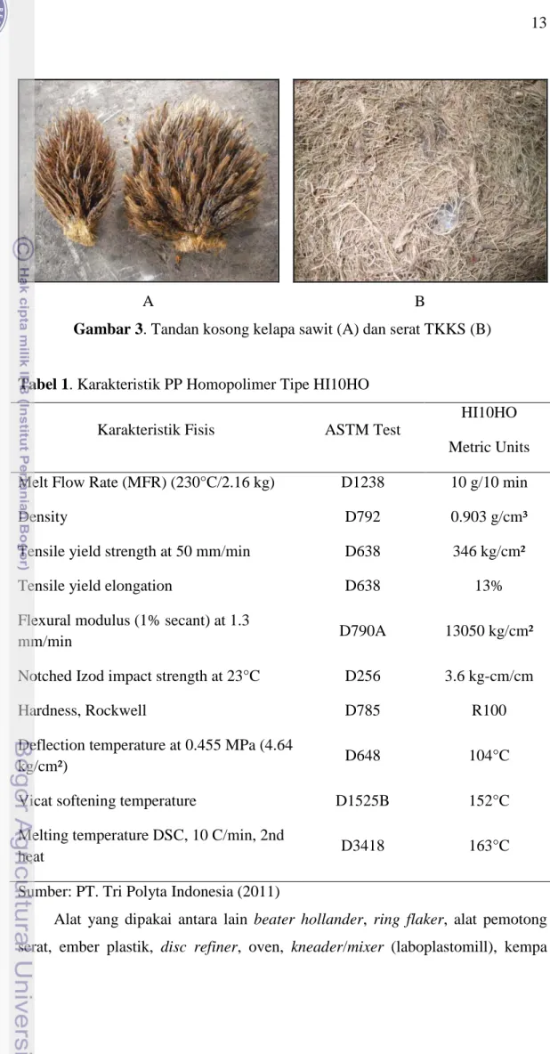 Gambar 3. Tandan kosong kelapa sawit (A) dan serat TKKS (B) 