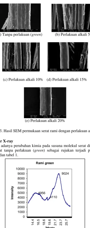 Gambar 3. Hasil SEM permukaan serat rami dengan perlakuan alkali X% 