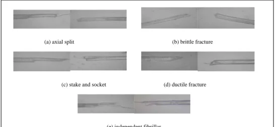 Foto makro model perpatahan serat rami akibat beban tarik dari pengaruh perlakuan alkali dapat dilihat pada  gambar berikut ini: 