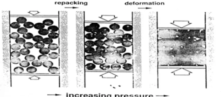 Gambar  2.5 di bawah ini menggambarkan tahapan-tahapan yang  dialami serbuk pada penambahan tekanan