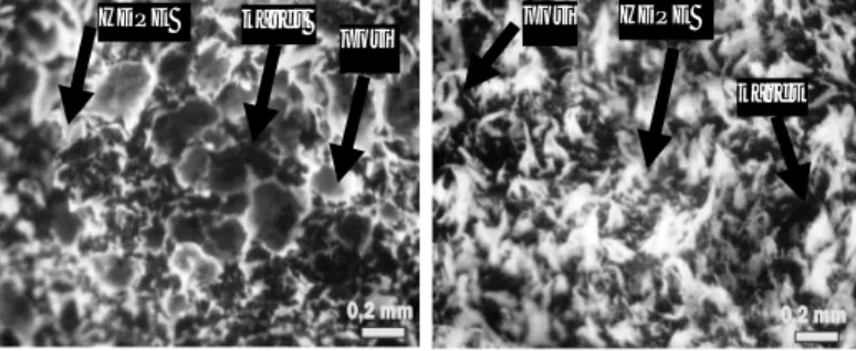 Gambar 3: Foto makro penampang patah komposit untuk ukuran serbuk plastik 60 dan 80 mesh  Gambar 3 menunjukkan porositas yang terjadi pada ukuran serbuk plastik 60 mesh dan 80  mesh