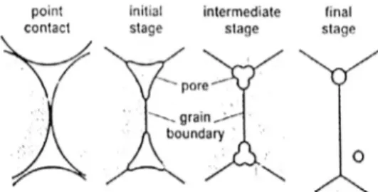 Gambar 1. Skema penyusutan pori selama proses  sintering. (German, 1994).