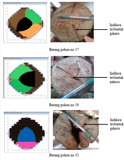 Gambar 5 Perbandingan hasil sonic tomography dengan penampilan visual penampang lintang batang pohon contoh 
