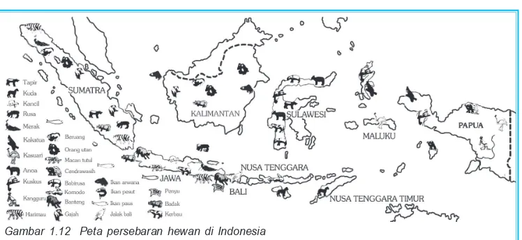 Gambar 1.12  Peta persebaran hewan di Indonesia