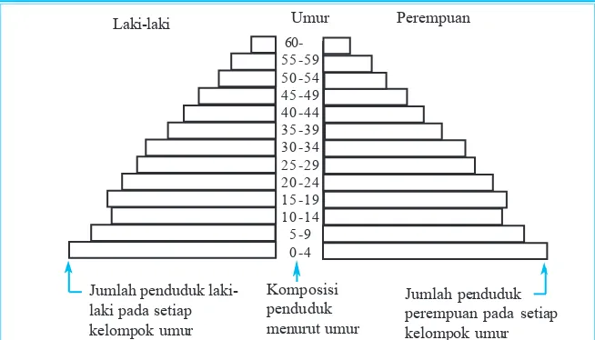 Gambar 2.5 Piramida penduduk menurut umur dan jenis kelamin