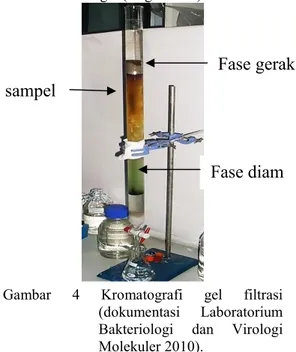 Gambar  4  Kromatografi  gel  filtrasi     (dokumentasi  Laboratorium  Bakteriologi  dan  Virologi  Molekuler 2010)