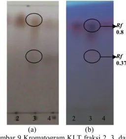 Gambar 9 Kromatogram KLT fraksi 2, 3, dan  4;  (a)  hasil  deteksi  dengan  penampak  noda,  (b)  hasil  deteksi  spot pada sinar UV 254 nm