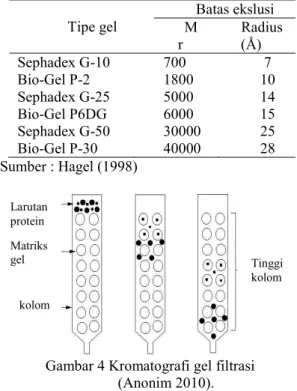Tabel  1  Variasi  konsentrasi  gel  berdasarkan  bobot protein 