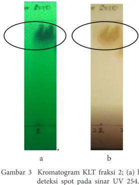 Gambar 3  Kromatogram KLT fraksi 2; (a) hasil deteksi spot pada sinar UV 254. (b) hasil  deteksi   spot dengan penampak noda 