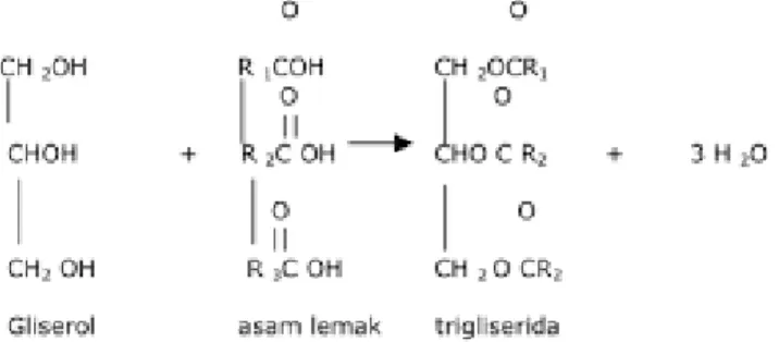 Ilustrasi 2. Struktur Kimia Trigliserida 