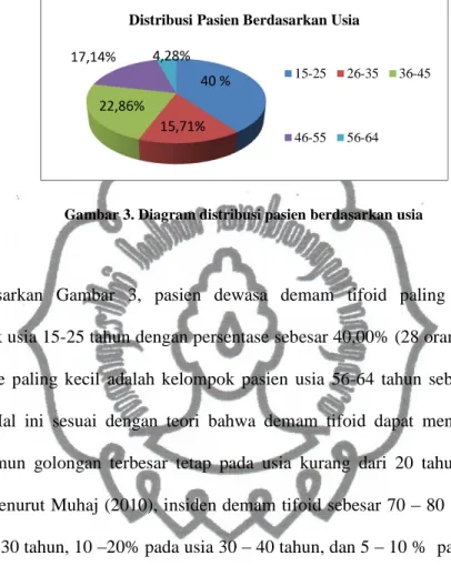 Gambar 3. Diagram distribusi pasien berdasarkan usia