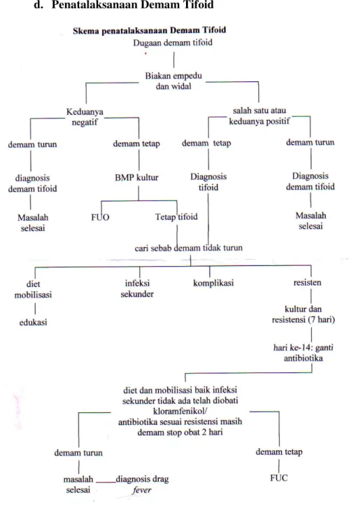Gambar 1. Skema Penatalaksanaan Demam Tifoid (Anonim, 2006). 