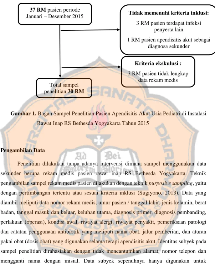 Gambar 1. Bagan Sampel Penelitian Pasien Apendisitis Akut Usia Pediatri di Instalasi  Rawat Inap RS Bethesda Yogyakarta Tahun 2015 