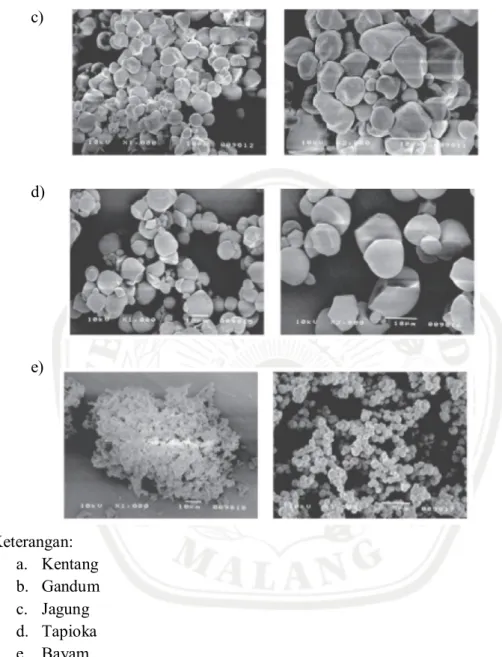 Gambar 2.1 Gambar Mikroskopis Zat Tepung yang Telah Diuji (Molenda et al.,  2006) 