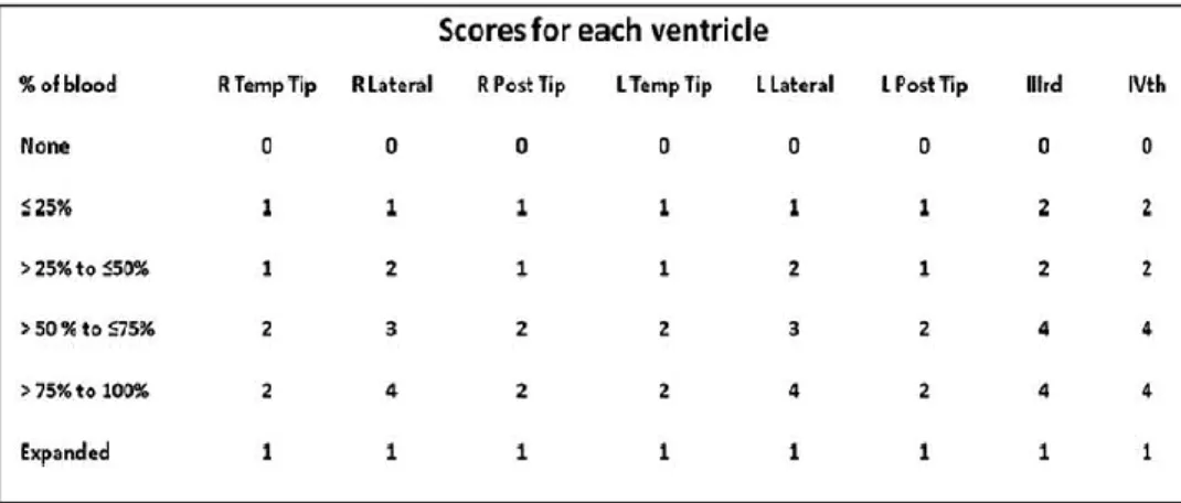 Tabel 6. Penilaian Modified Graeb Score (mGS) 