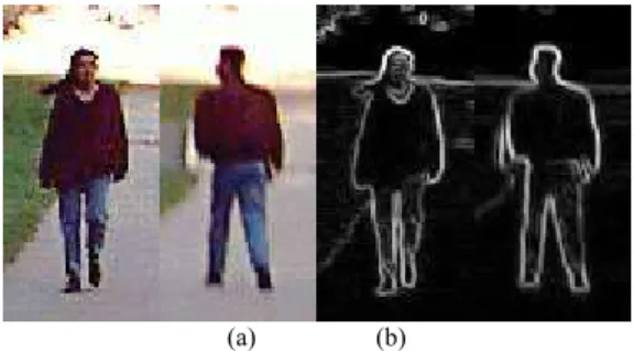 Gambar 3. Gradien pada citra. (a) citra asli; (b) citra gradien     magnitude. 