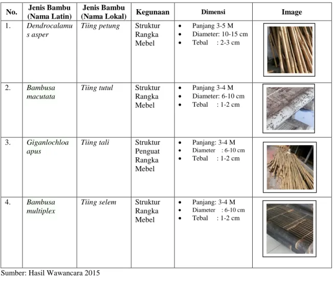 Tabel  di  atas  memaparkan  jenis-jenis  bambu  yang  dipakai  pada  desain  mebel  bambu  desa  Belega