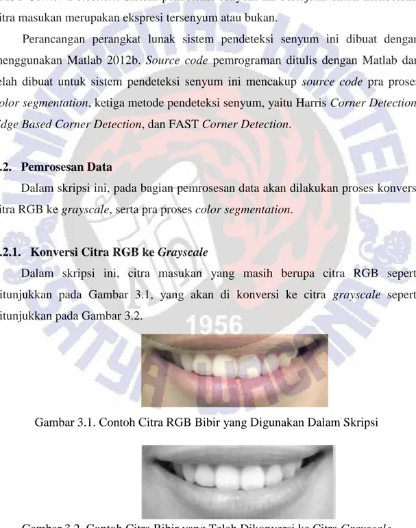 Gambar 3.1. Contoh Citra RGB Bibir yang Digunakan Dalam Skripsi 