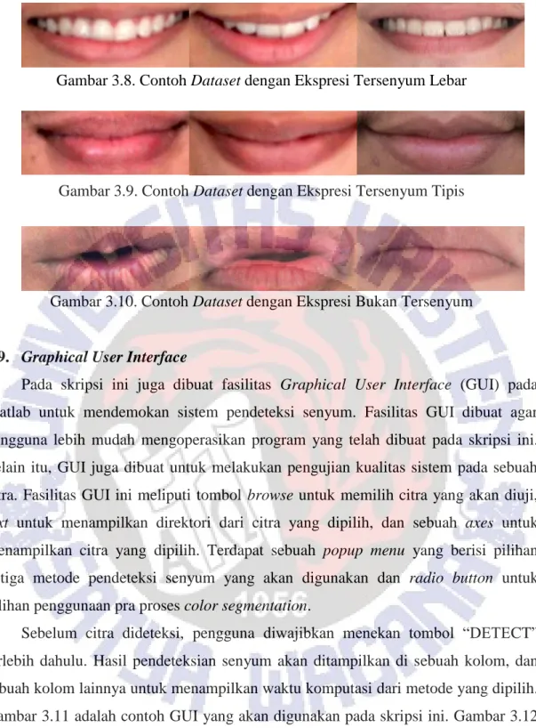 Gambar 3.8. Contoh Dataset dengan Ekspresi Tersenyum Lebar 