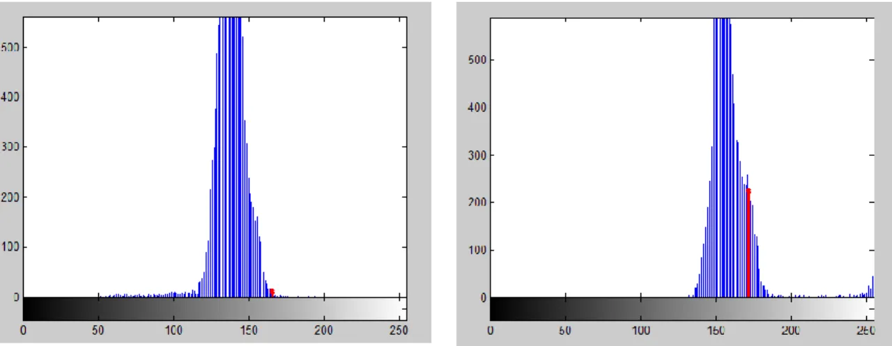 Gambar 4.4 Histogram citra (a) retak dan (b) tidak retak 