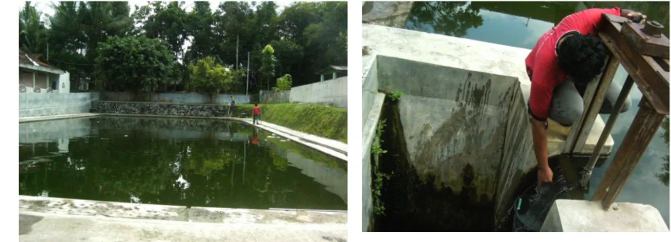 Foto 3. a. Mataair Klangkapan, Seyegan, ditampung dalam kolam yang cukup besar.  