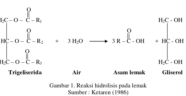 Gambar 1. Reaksi hidrolisis pada lemak 