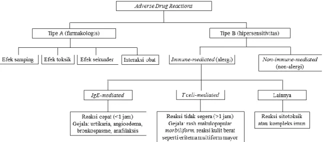 Gambar  1. Klasifikasi Adverse drug reactions, termasuk hipersensitivitas dan alergi  obat immune-mediated 5 