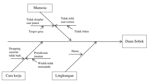 Gambar 2. Diagram Fishbone Daun Sobek, CV. Tani Organik Merapi. 