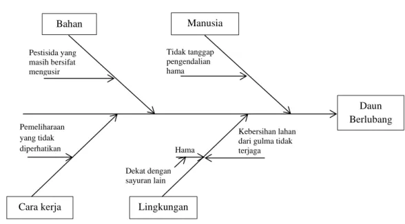 Gambar 3. Fishbone Diagram daun berlubang, CV. Tani Organik Merapi. 