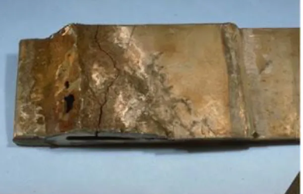 Gambar 2.7. korosi SCC pada sebuah logam (Deny Prabowo :  2015) 