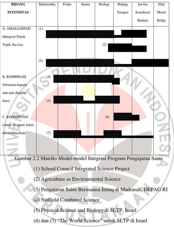 Gambar 2.2 Matriks Model-model Integrasi Program Pengajaran Sains  (1) School Council Integrated Science Project 