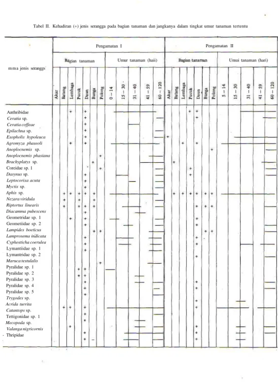 Tabel II. Kehadiran (+) jenis serangga pada bagian tanaman dan jangkanya dalam tingkat umur tanaman tertentu