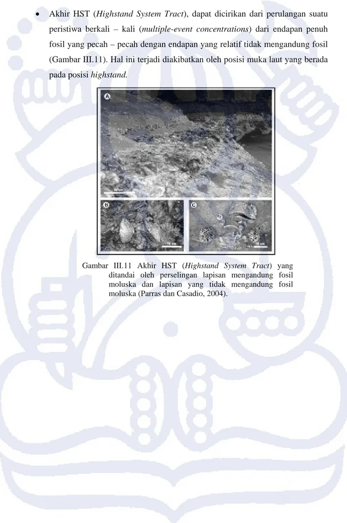 Gambar III.11 Akhir HST  (Highstand System Tract) yang  ditandai oleh perselingan lapisan mengandung fosil  moluska dan lapisan yang tidak mengandung fosil  moluska (Parras dan Casadio, 2004)