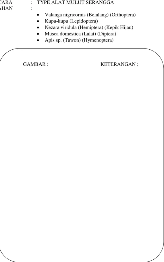 GAMBAR :    KETERANGAN : 