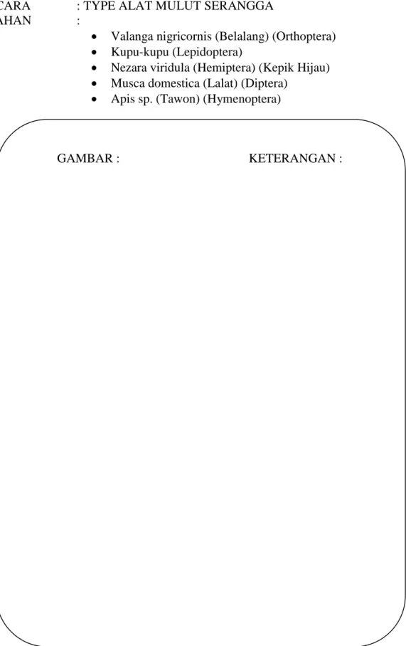 GAMBAR :    KETERANGAN : 